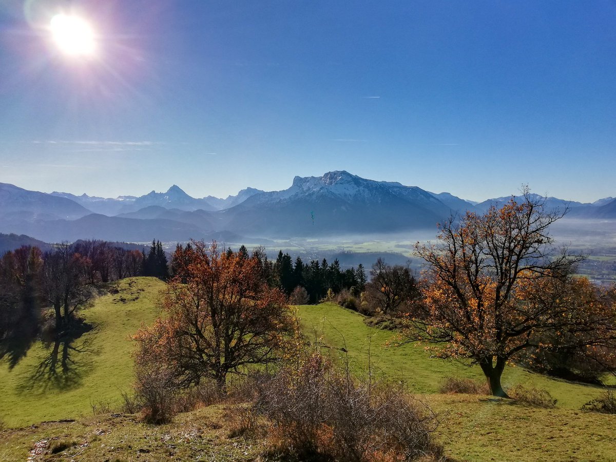 Heute mal zu Fuß auf den Gaisberg