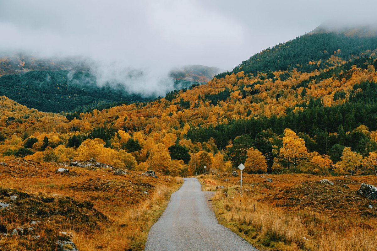 DanielCasson1's tweet photo. Cannich 🍂 // https://t.co/z39GTcy3pA