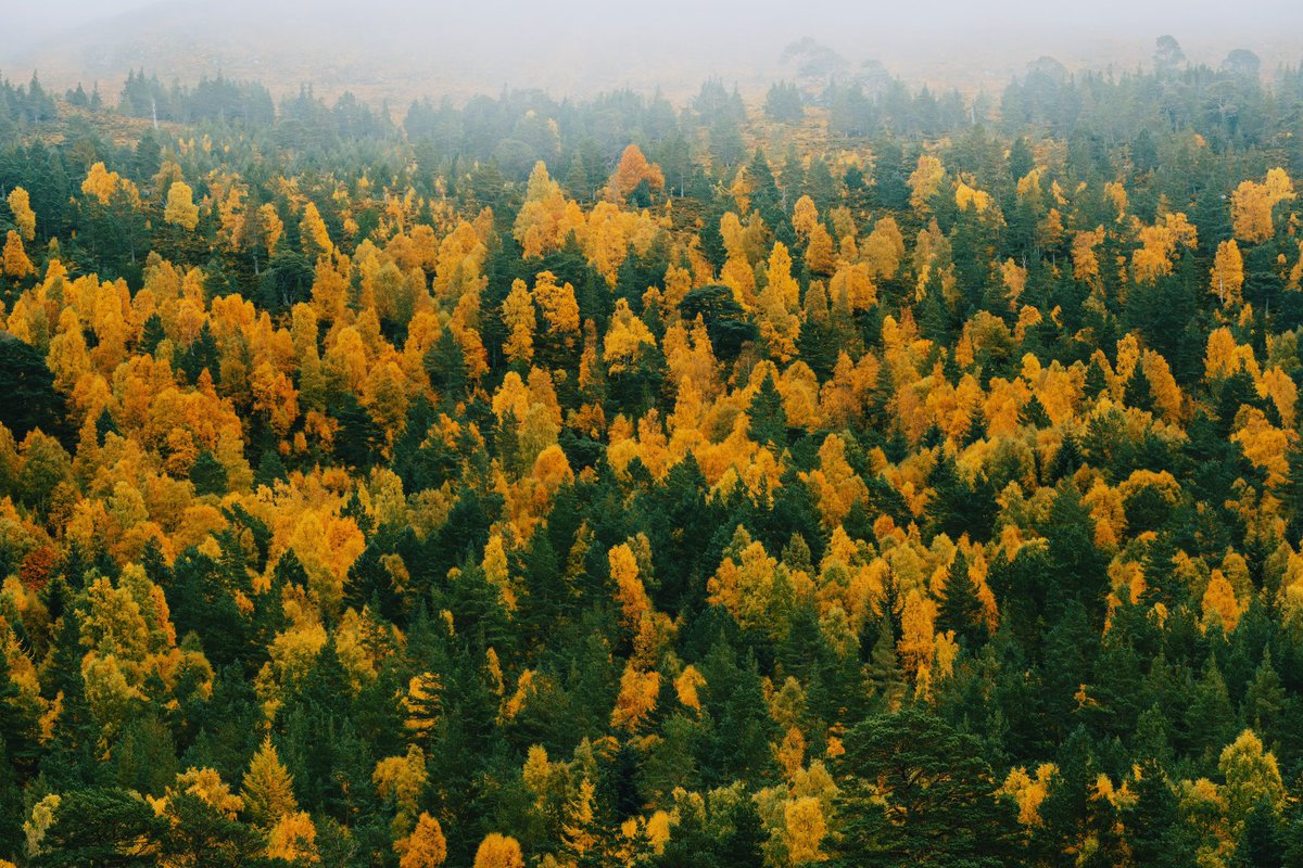 DanielCasson1's tweet photo. Cannich 🍂 // https://t.co/z39GTcy3pA