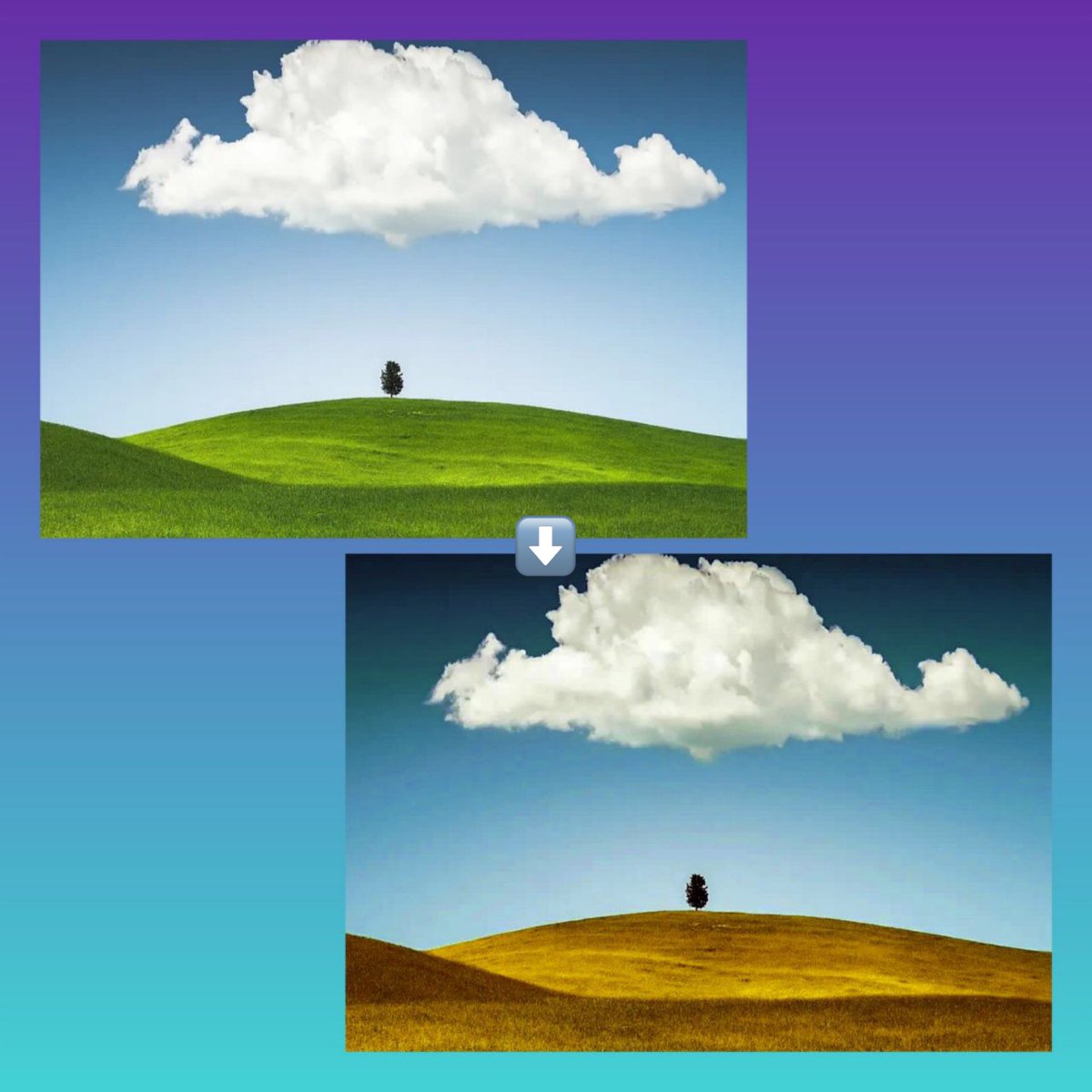 Sagharakbarii's tweet image. H.W: Edit the some photos 🤗#GraphicDesignStudent 👩🏻‍💻 @CodeToInspire 
 #AfghanGirlsDesign #Artis •🇦🇫•
@f_forough @Kawsar_Ashtari 👩🏻‍🏫