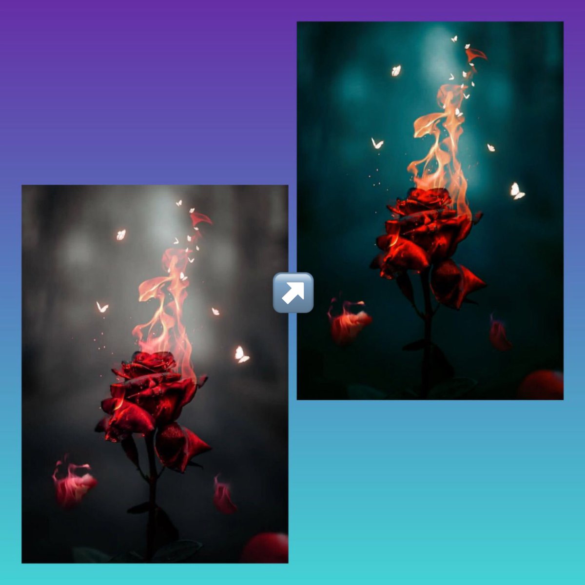 Sagharakbarii's tweet image. H.W: Edit the some photos 🤗#GraphicDesignStudent 👩🏻‍💻 @CodeToInspire 
 #AfghanGirlsDesign #Artis •🇦🇫•
@f_forough @Kawsar_Ashtari 👩🏻‍🏫