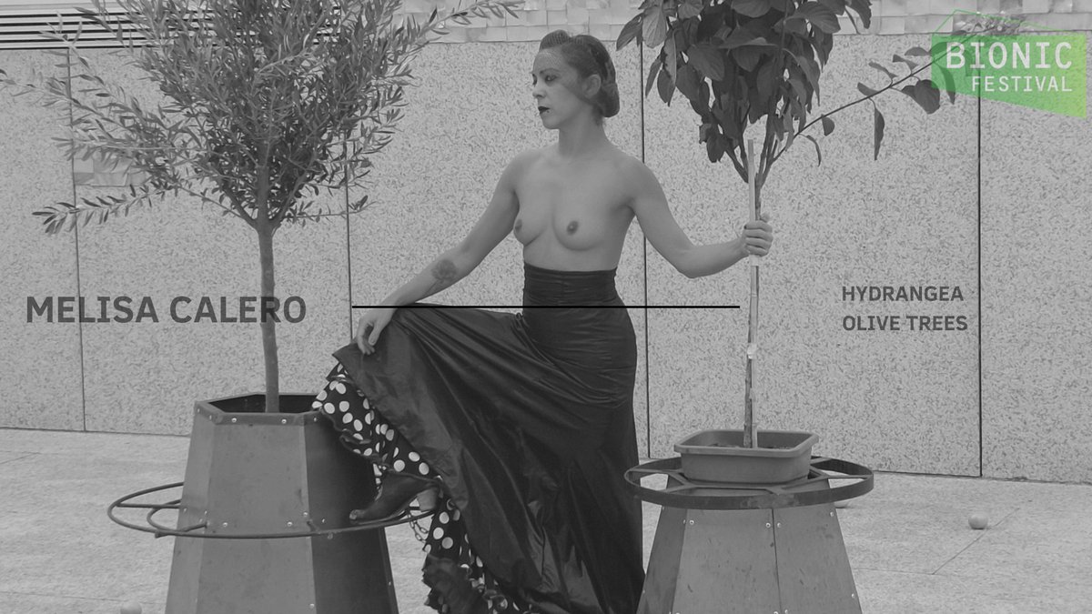 BIONICFESTIVAL's tweet photo. MELISA CALERO, OLIVE &amp; HYDRANGEA TREES - BIONIC FESTIVAL 2022 https://t.co/gaBCNynT90
#BionicFestival #Olive &amp; #Hydrangea #Trees #MelisaCalero #BiHemispheric #Art #BionicDance #Biomimetic #CarbonNegative #PerformingArts @eldiarioCultura @elpais_eco @Biomima_Hub @PublicoCulturas https://t.co/wPdDlOAPvR