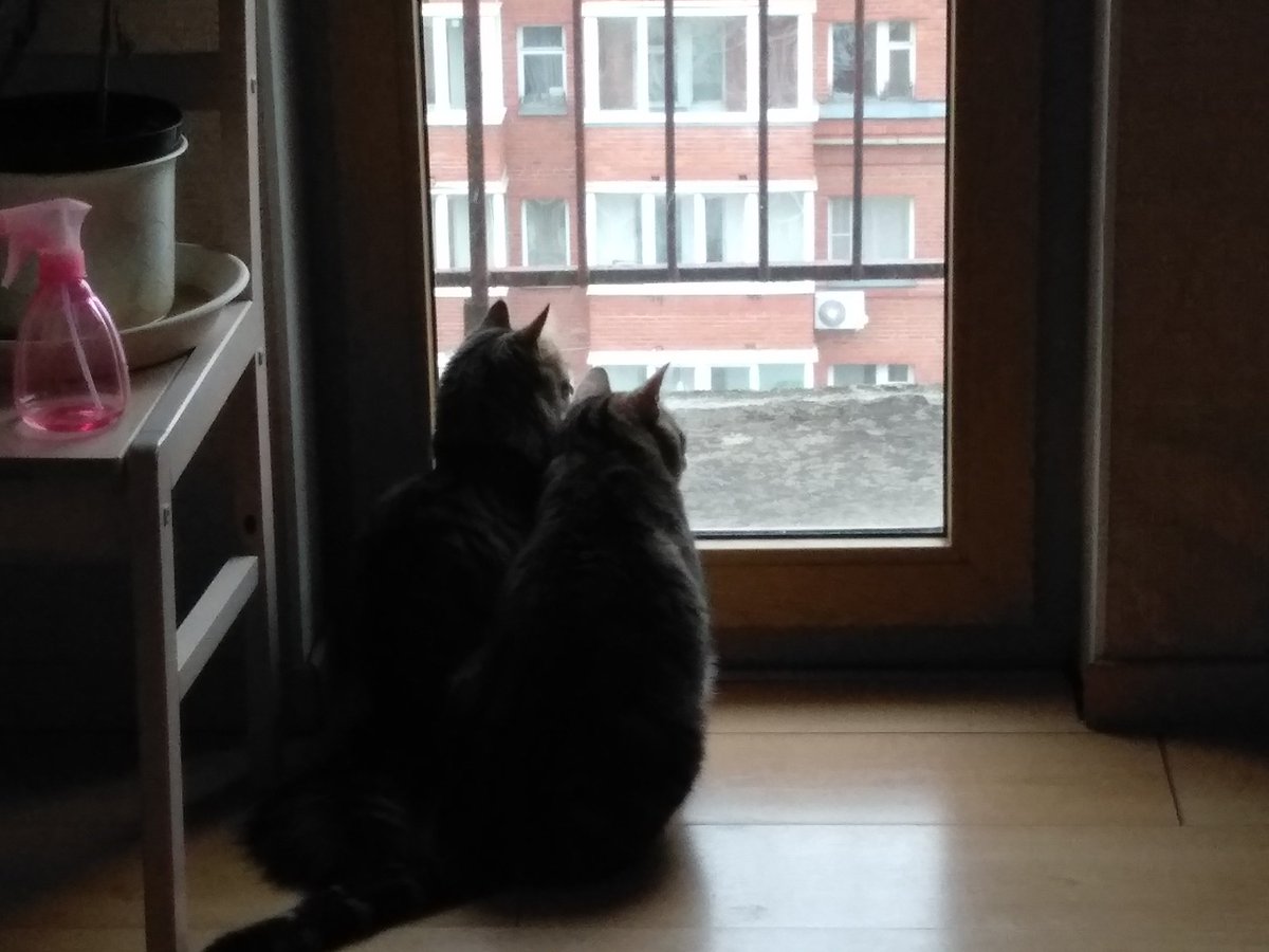 Martin45130558's tweet photo. - некрасиво
- мне тоже не нравится https://t.co/iJfHPVQzi8