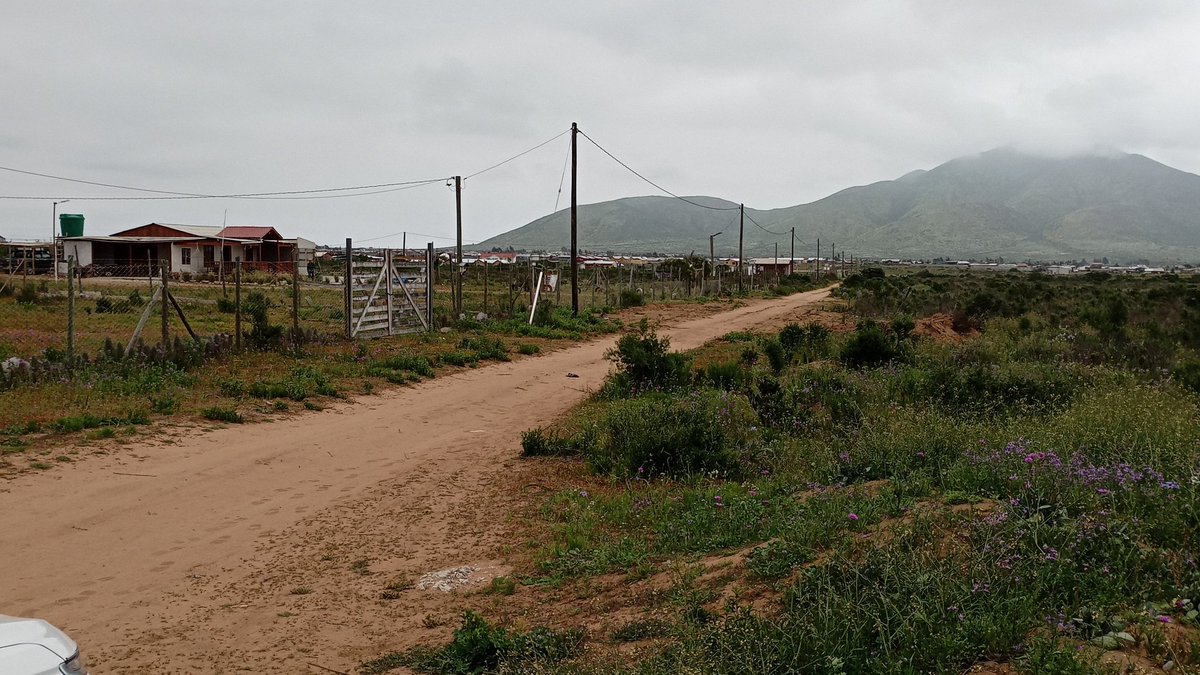 conaf_coquimbo's tweet photo. Al adquirir una #parceladeagrado, asegúrate de conocer las especies vegetacionales🌵🌿🌱 que hay en el lugar. La corta de formaciones protegidas, está penada por ley. 
Revisa el Catastro de Recursos Vegetacionales por región, en el siguiente link: 
https://t.co/Aof3MpnaJG https://t.co/QCuMLBpAXX