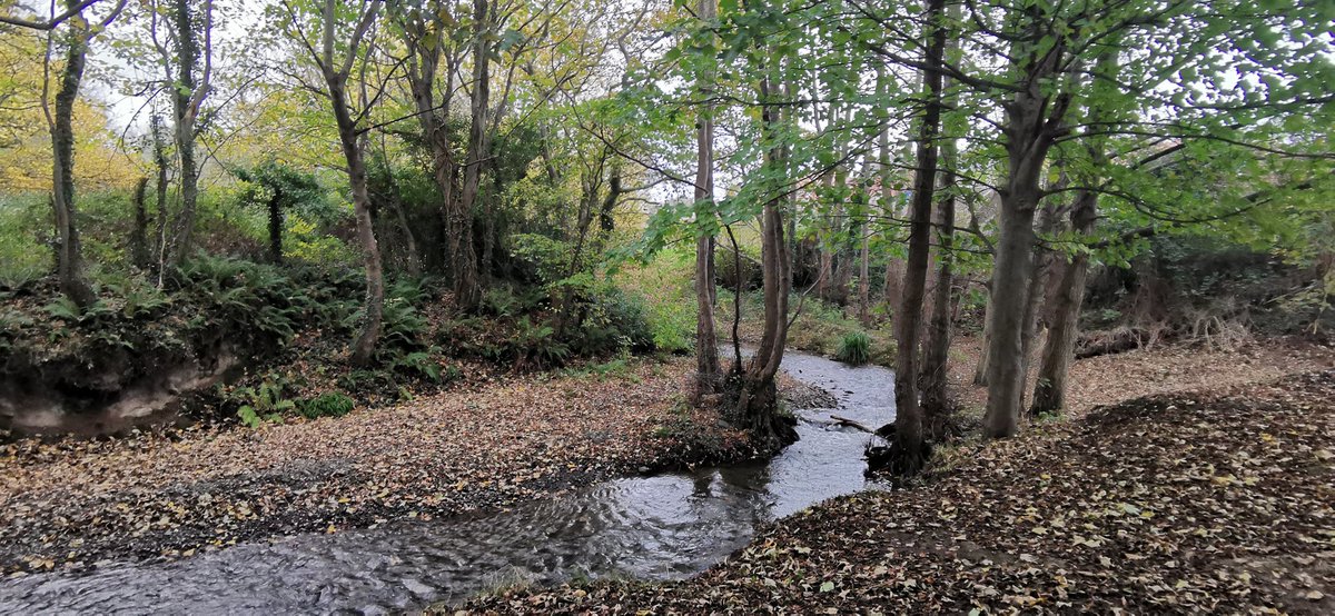 Amanda_Durber's tweet photo. Haven't posted for a little while, but still running, 12k trail run today. Nice to be off the tarmac🤗 #HappySunday #running #trailrunning #NorthWales @absolute360 @RunSomeHQ https://t.co/MssOtq0FQQ
