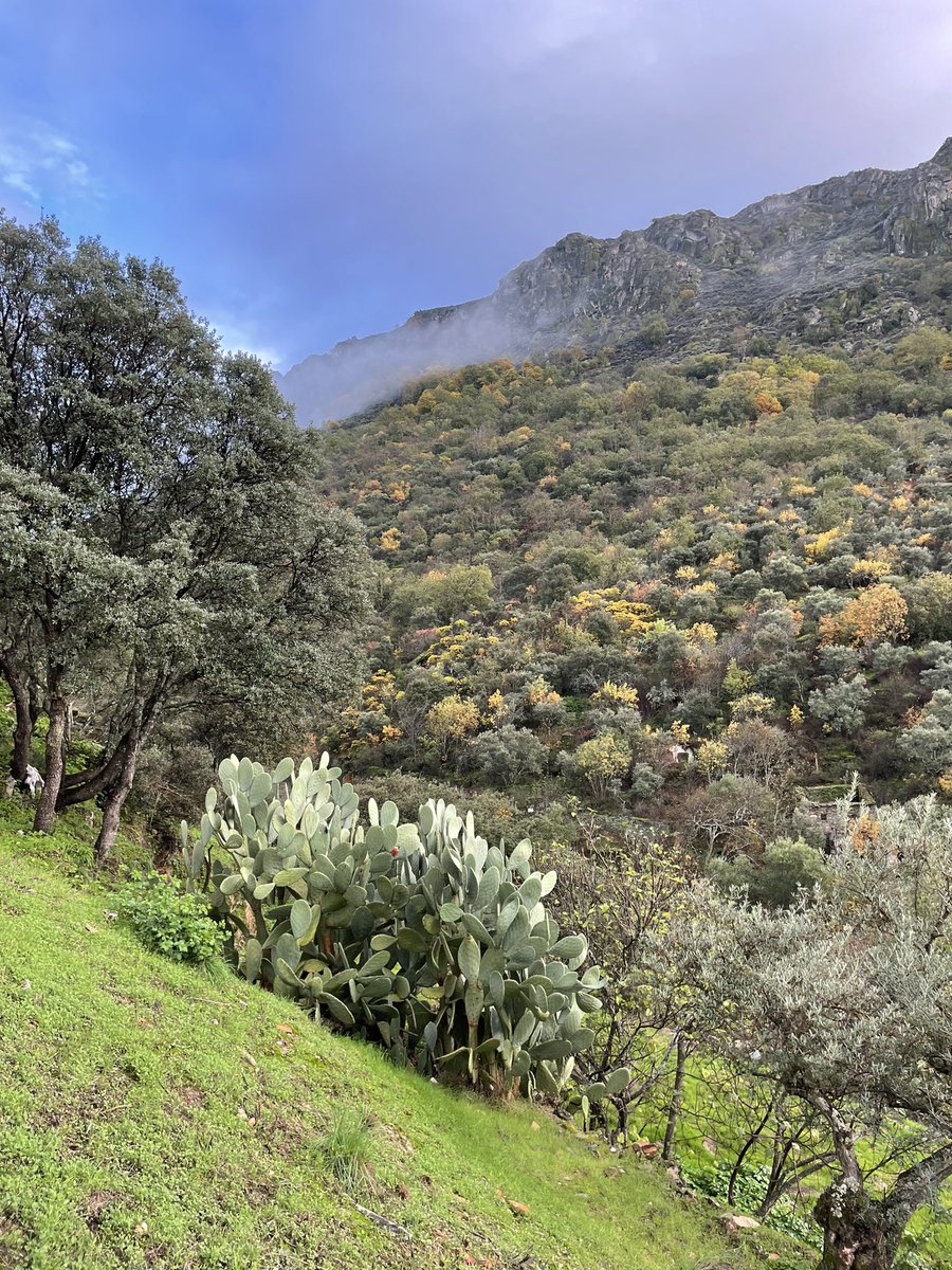 Daniel Gonzalo 🇪🇺 tweet media