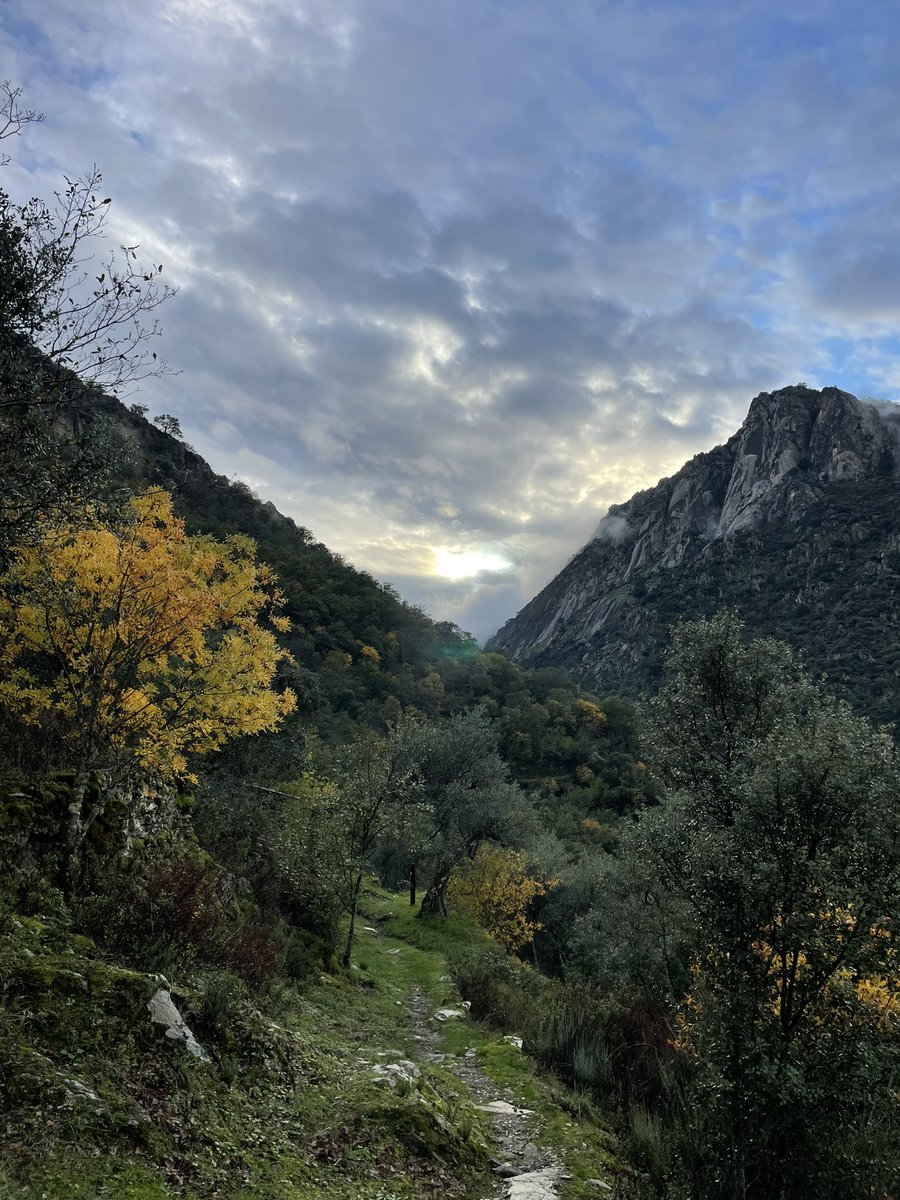 Daniel Gonzalo 🇪🇺 tweet media