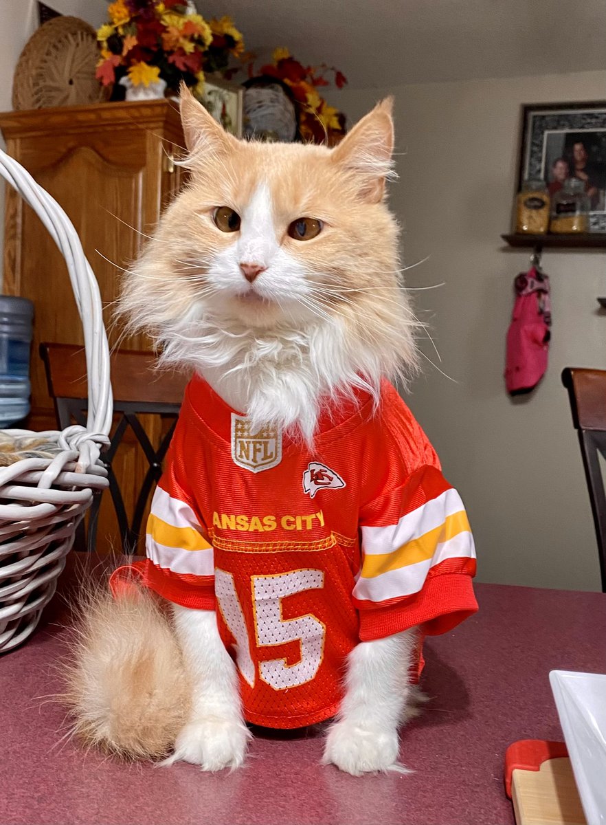 bobfreakinburk's tweet image. It’s @Chiefs game day and Cheese is suited up as “Catrick Mahomes” in support of her favorite QB. Let’s go Chiefs! @PatrickMahomes