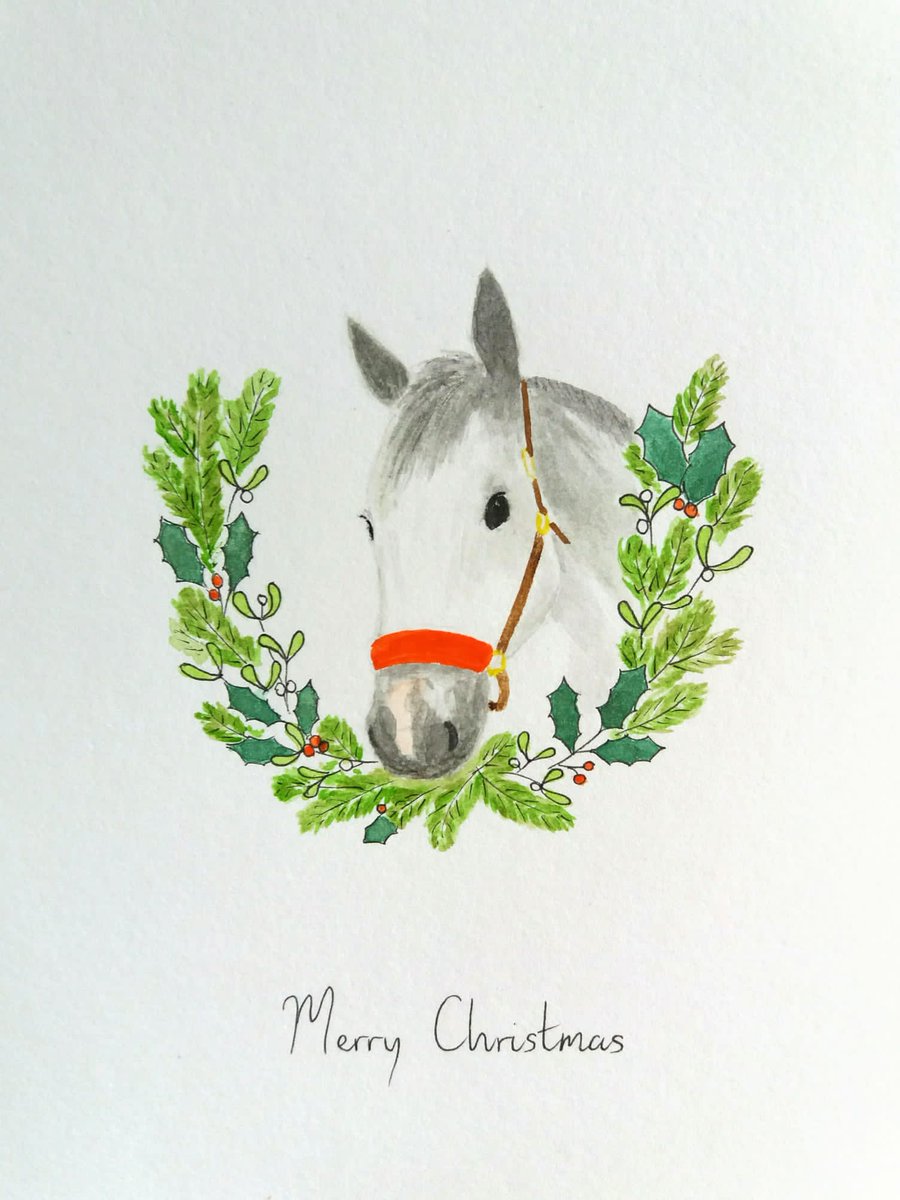 New cards for Christmas 2022!  Beautiful original designs by Jenny, just for our Charity.  All proceeds to support Margaret Haes Riding Centre.  On sale very soon!