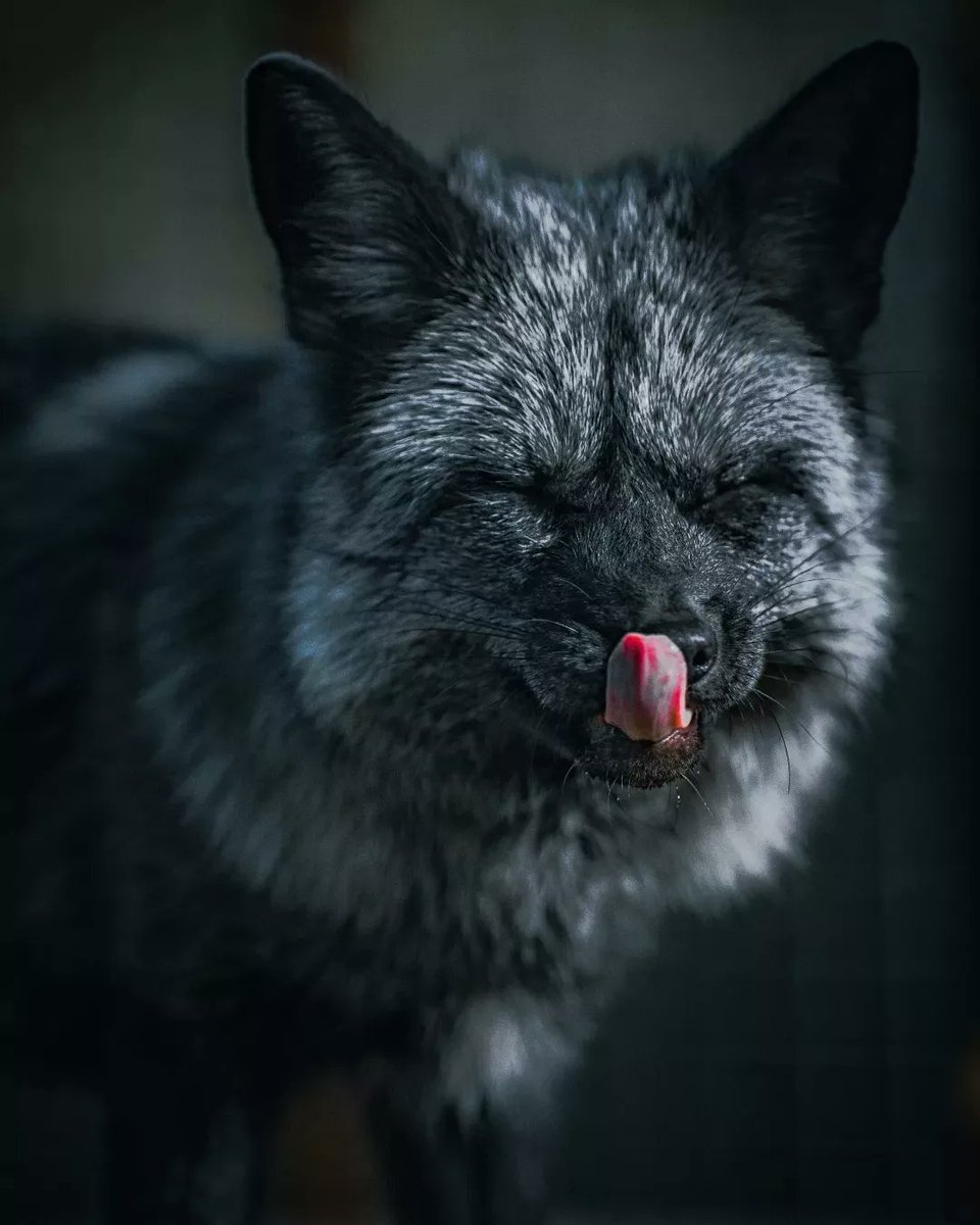 Would you accept a quest from him?