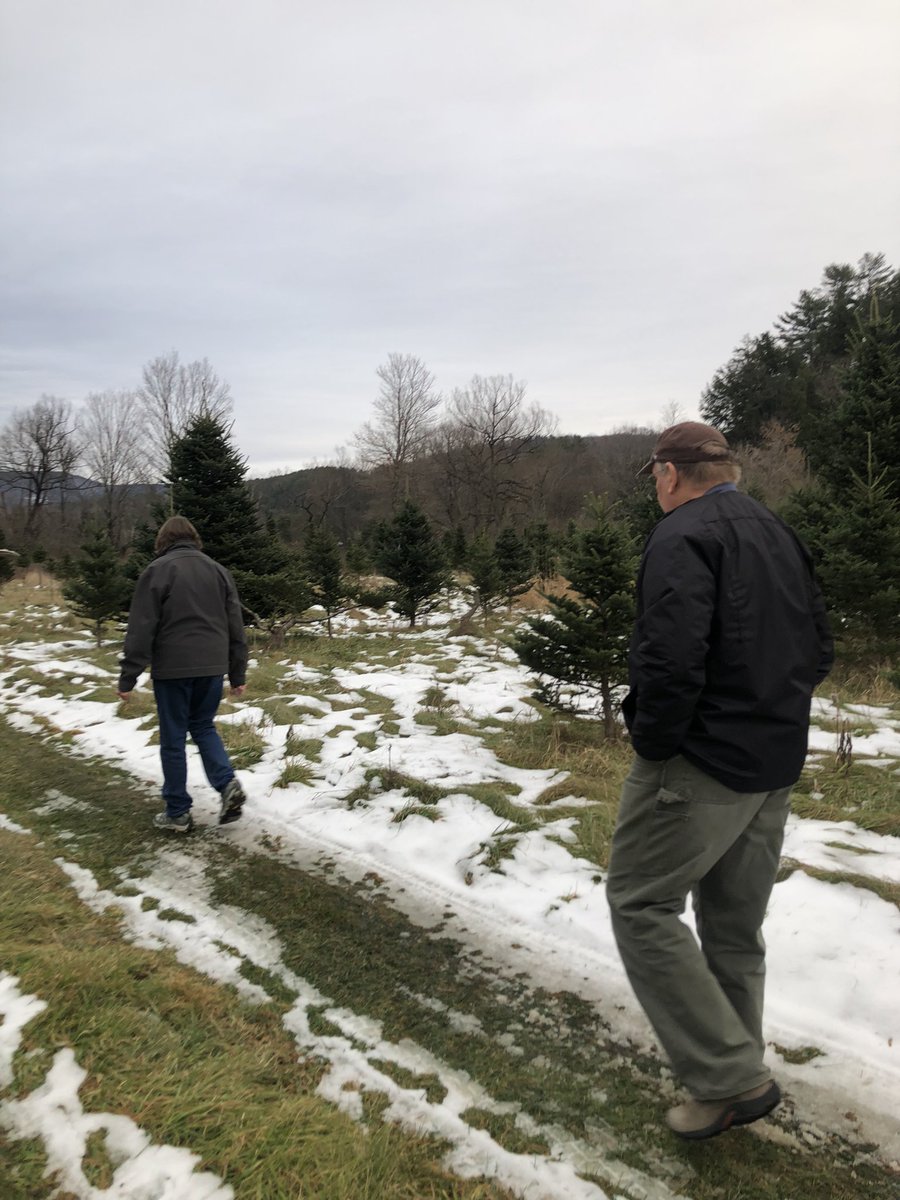 Connor Daley tweet media