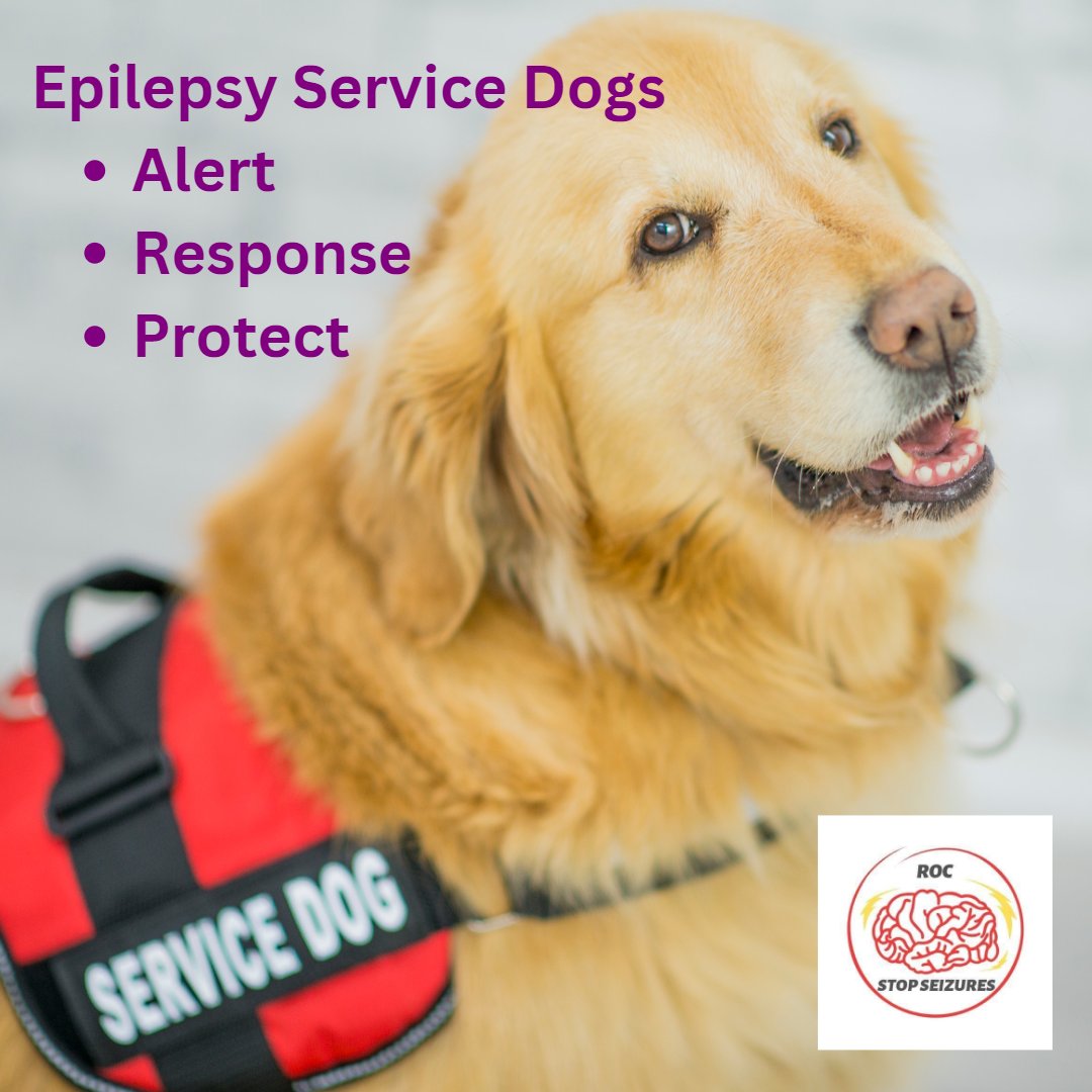 will gabapentin stop seizures