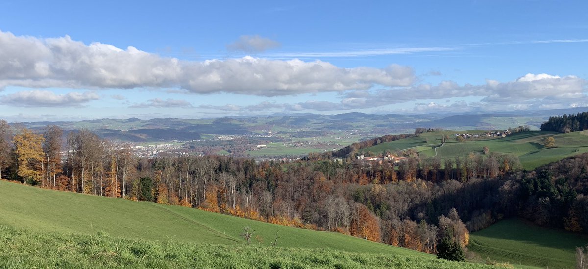 wjlonghurst's tweet photo. Cycled and walked on successive days to the 2 best vantage points over #Bern. #Ulmizberg and #Bantiger . Simply stunning https://t.co/FZfsptnRXr