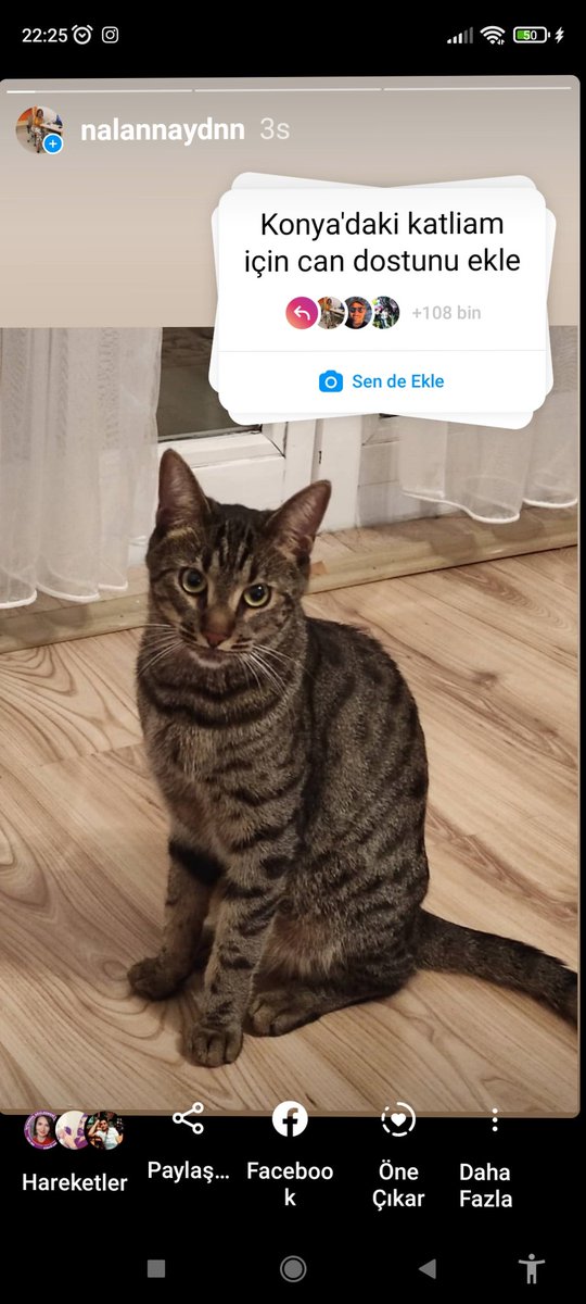 Nalan Aydın (@sernalan) on Twitter photo 