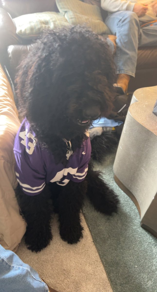 urbans5thgrade's tweet photo. Gratitude Challenge day 25… something soft I am grateful for is my sweet puppies Aggie and Lewie! They make my heart happy💜 #FISDMadeToShine #WMSGratitude https://t.co/joekBYtYJb