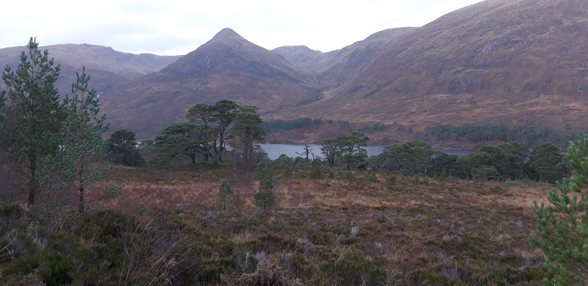 Martyn Willows tweet media