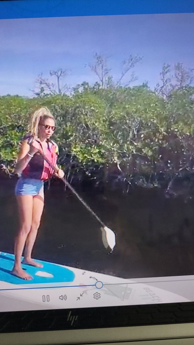 solevamar's tweet photo. #paddlesurf #keywest #mia #summervibes #nature #meand #amici22 #blonda #sea #mangrooves https://t.co/kDvecPAT0d