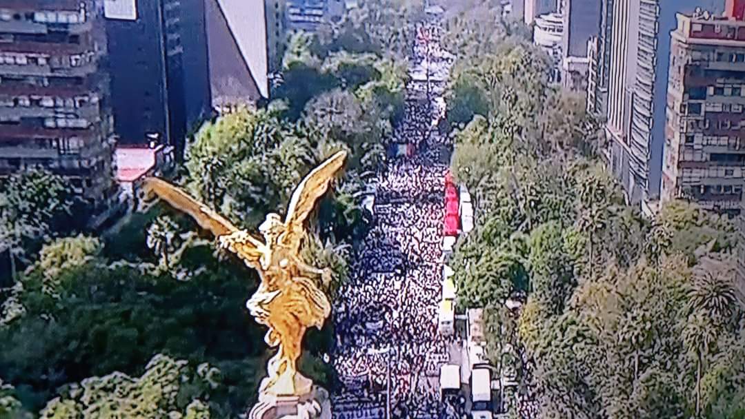 ndurancoronado's tweet photo. Si la oposición contó 600 mil en su pinchurrienta marcha aquí son 100 millones !!🤣😂
#PosAPocoNoo 
#PosMira https://t.co/ocADw8v8Nx
