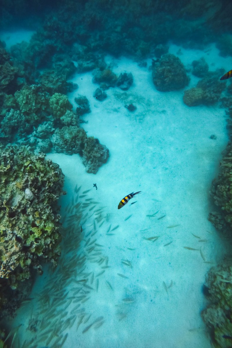 Cleveland Travel Network tweet media