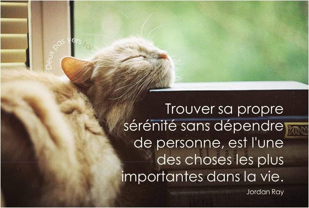 CmQualite's tweet photo. Ne jamais dépendre de quelqu'un pour quoi que ce soit !!!
#developpementpersonnel #citationpositive #citation #penseepositive #penseedujour #vivreautrement #vivremieux #preconisation #serenite #jordanray https://t.co/Y6Fq7pC46O