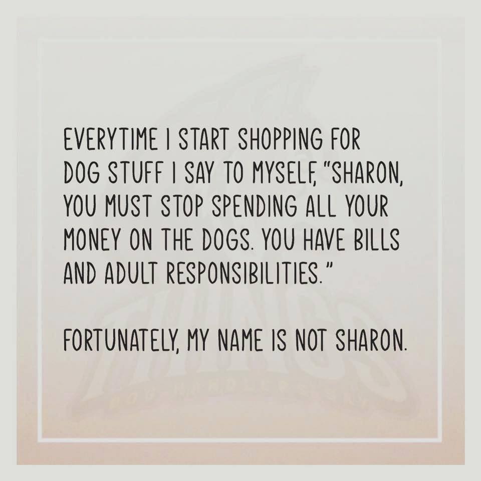 OzDogLover's tweet photo. Yes, I spend all my money on my dogs...
What's your point?๐
You can do the same thanks to our ๐จ๐น๐๐ถ๐บ๐ฎ๐๐ฒ ๐๐ต๐ฟ๐ถ๐๐๐บ๐ฎ๐ ๐๐๐ถ๐ฑ๐ฒ ๐ถ๐๐with ๐ฑ๐ฌ ๐๐๐๐๐ฆ for #Dogs & #DogLovers: https://t.co/BqvL04aRjd
#CyberMonday #spoilyourdogs #theyreworthit
#SantaPawsiscoming https://t.co/4kVg8OQzQA