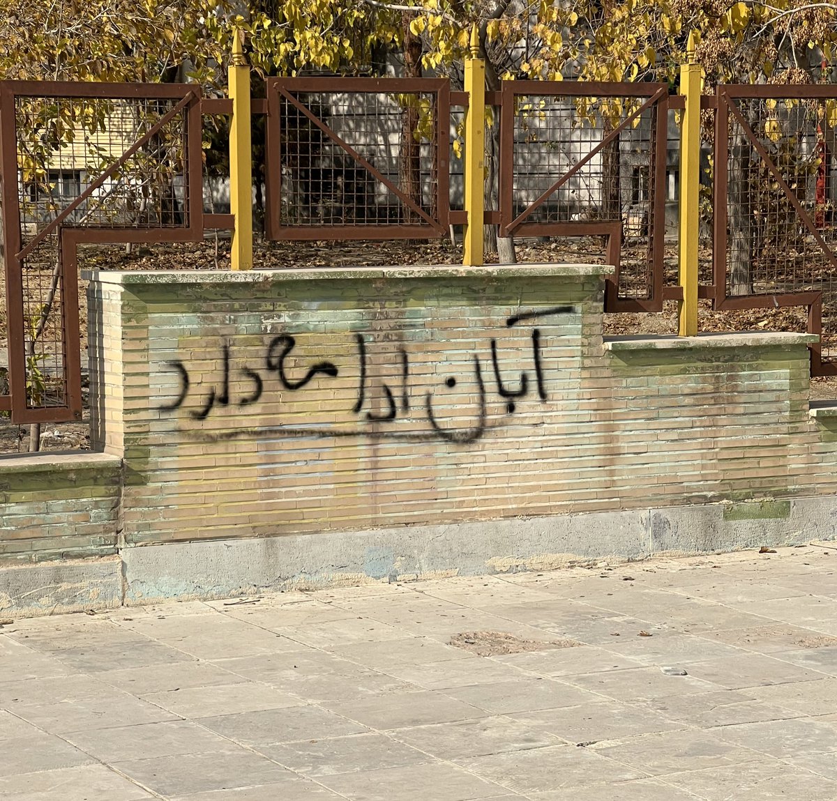 آسوده tweet media