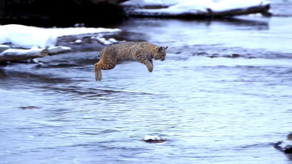 HumSnowy's tweet image. #humtwt 
whee,, ,' !!!