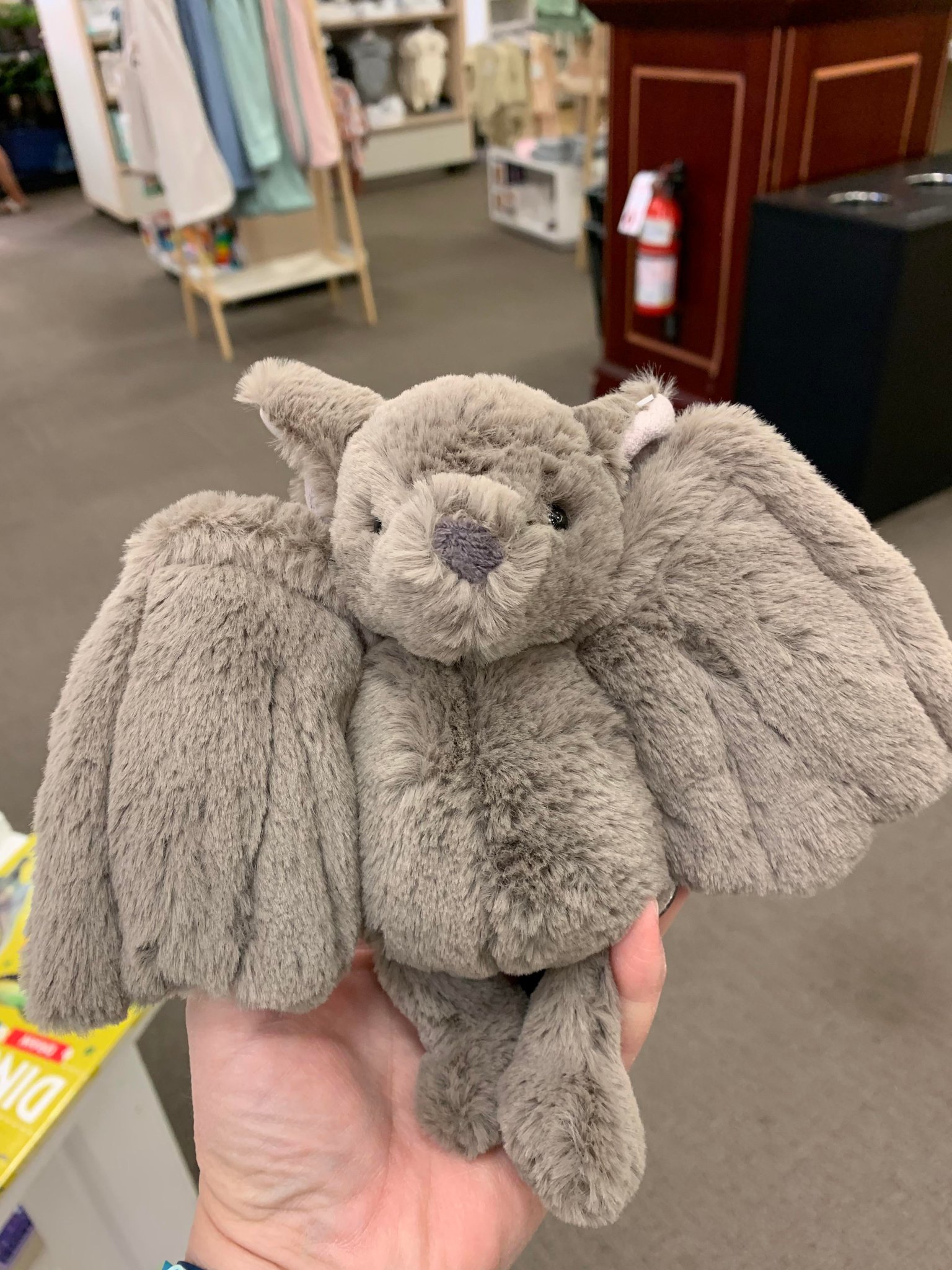 Bashful bat cheap