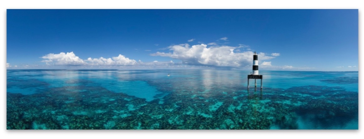 Nonsuch Expeditions tweet media
