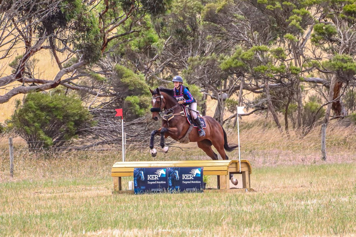 Luke Wilkinson tweet media