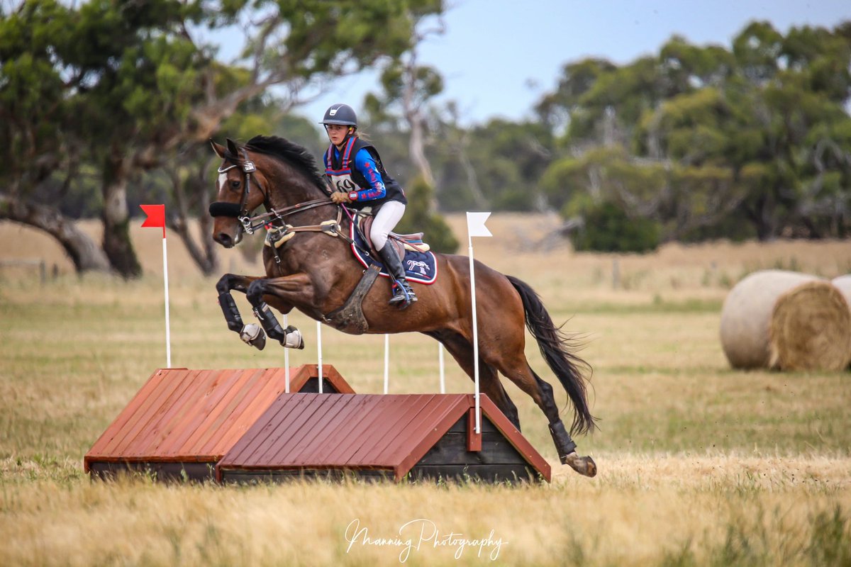 Luke Wilkinson tweet media