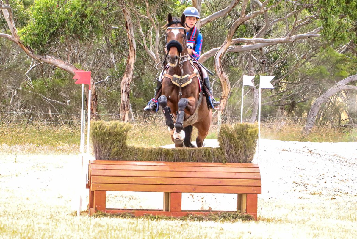 Luke Wilkinson tweet media