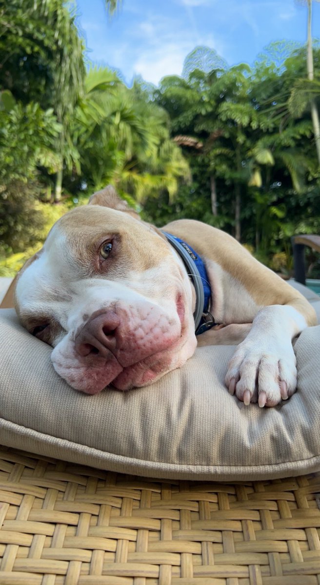 End of the long weekend ❤️