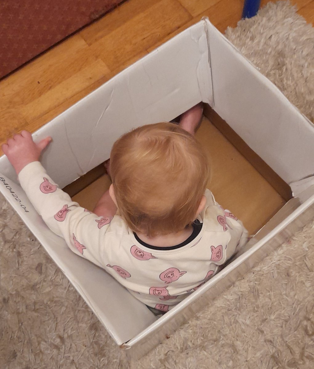 DadsTweetDiary's tweet photo. Who needs toys when you have a box? https://t.co/DD0M9VEYm5