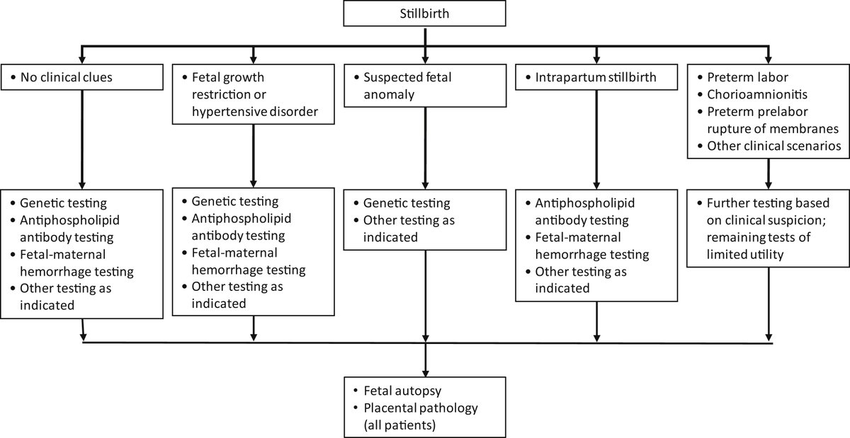 Society for Maternal-Fetal Medicine:  Obstetric Care Consensus #10: Management of #Stillbirth ow.ly/oBIy50LOnFR