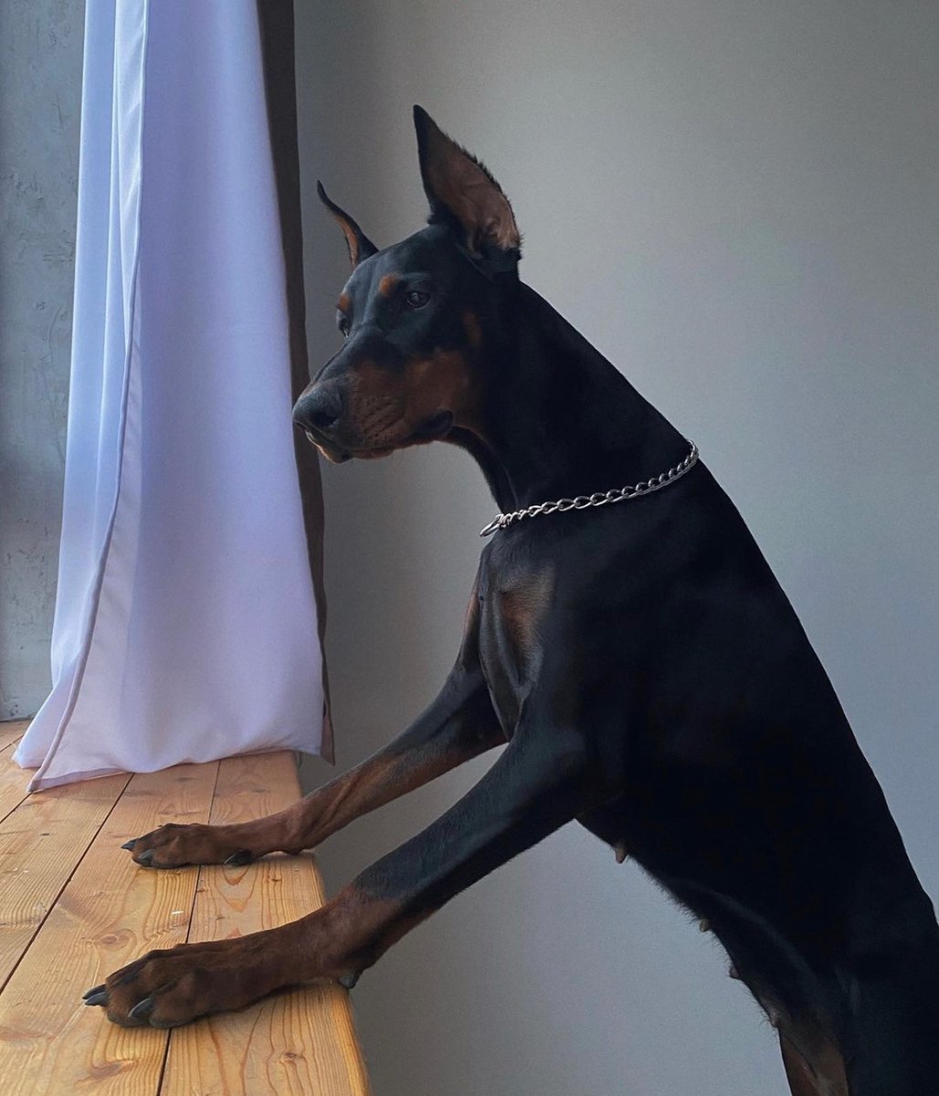 DRIP (@dript3r) on Twitter photo 