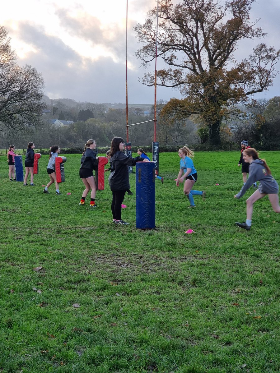 Bae Ceredigion Rugby tweet media