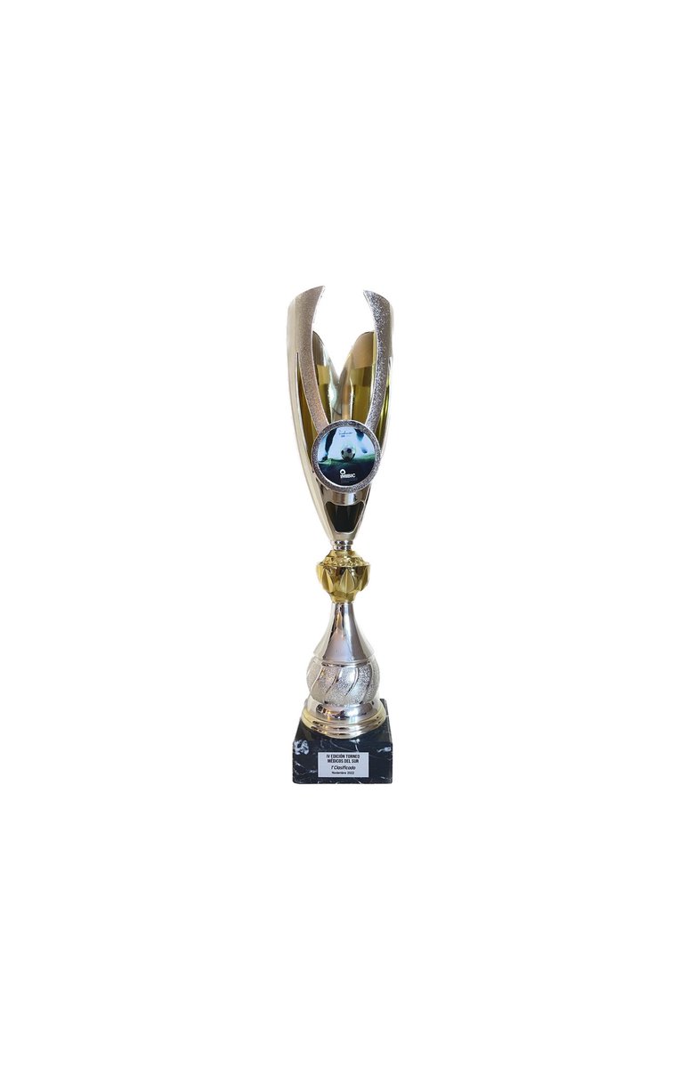 CAMPEONES IV Edición Torneo MédicoSur 🏆🥇

#VamosHispalis 💪🏻💪🏻