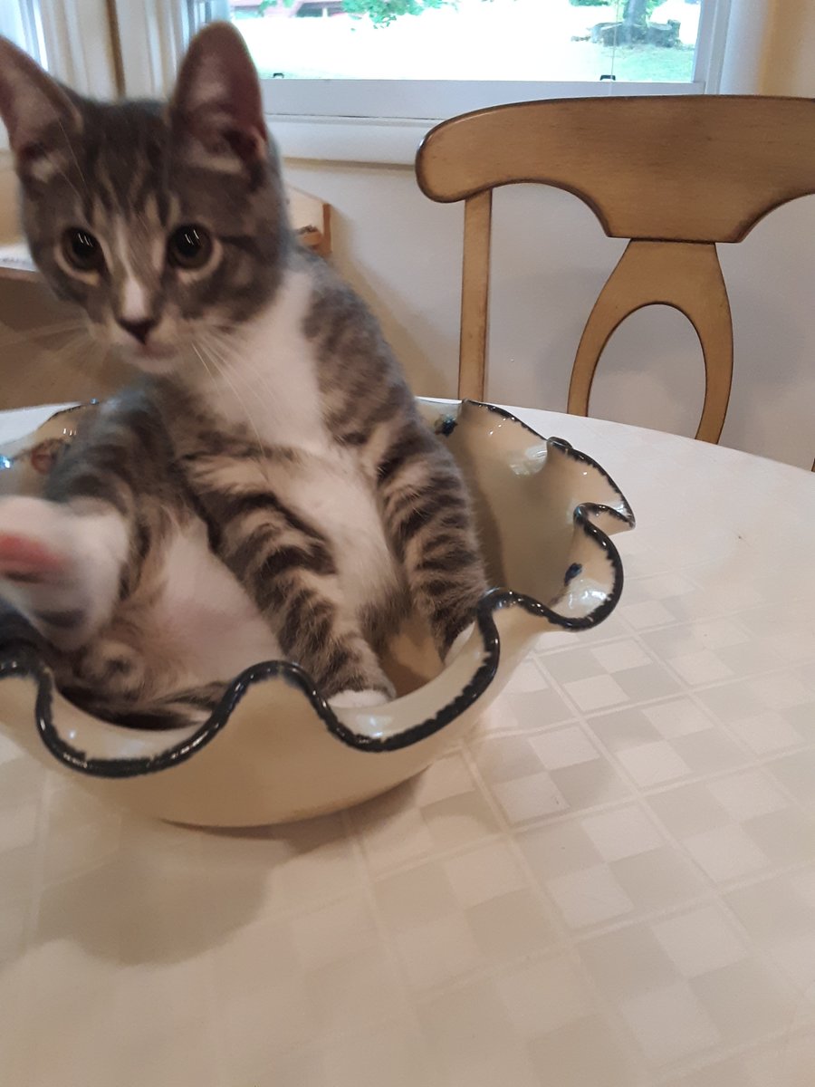 Technically, he's not on the table.