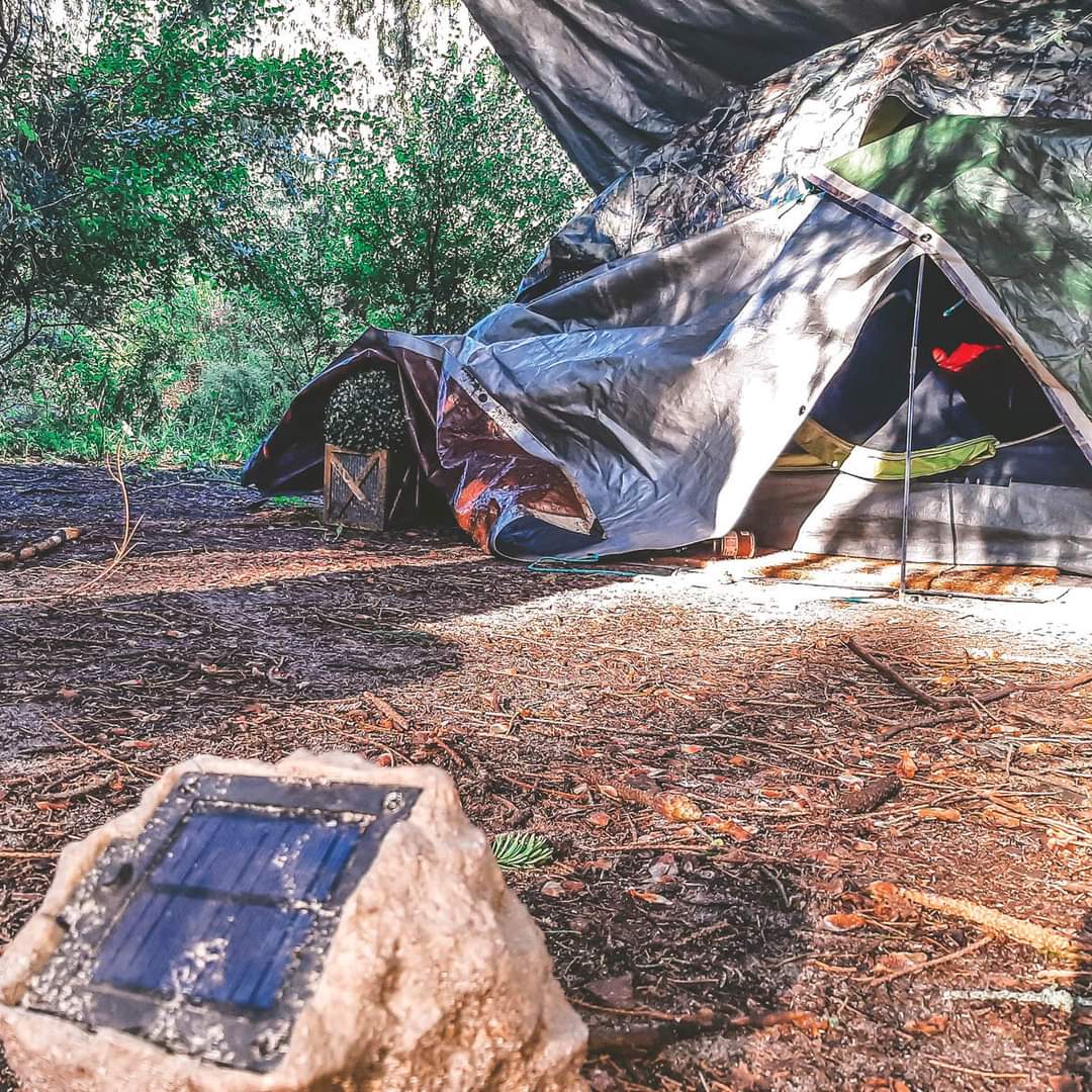 Goodwillnmi's tweet photo. Day 27 of #HAM2022 Today we share Jane's story. She grew up with abuse in her family. She uses alcohol to ease the pain. Jane has exhausted all her social and financial resources. It is hard for her to be around other people, so she camps outside, trying to stay safe. https://t.co/qvehmVpGxZ