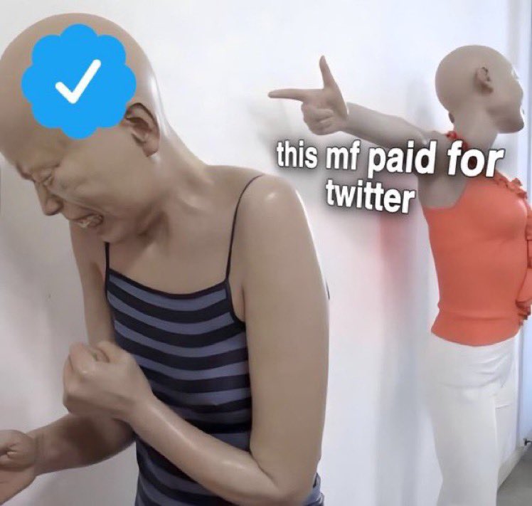 Ollie 🏳️‍🌈🐺 tweet media