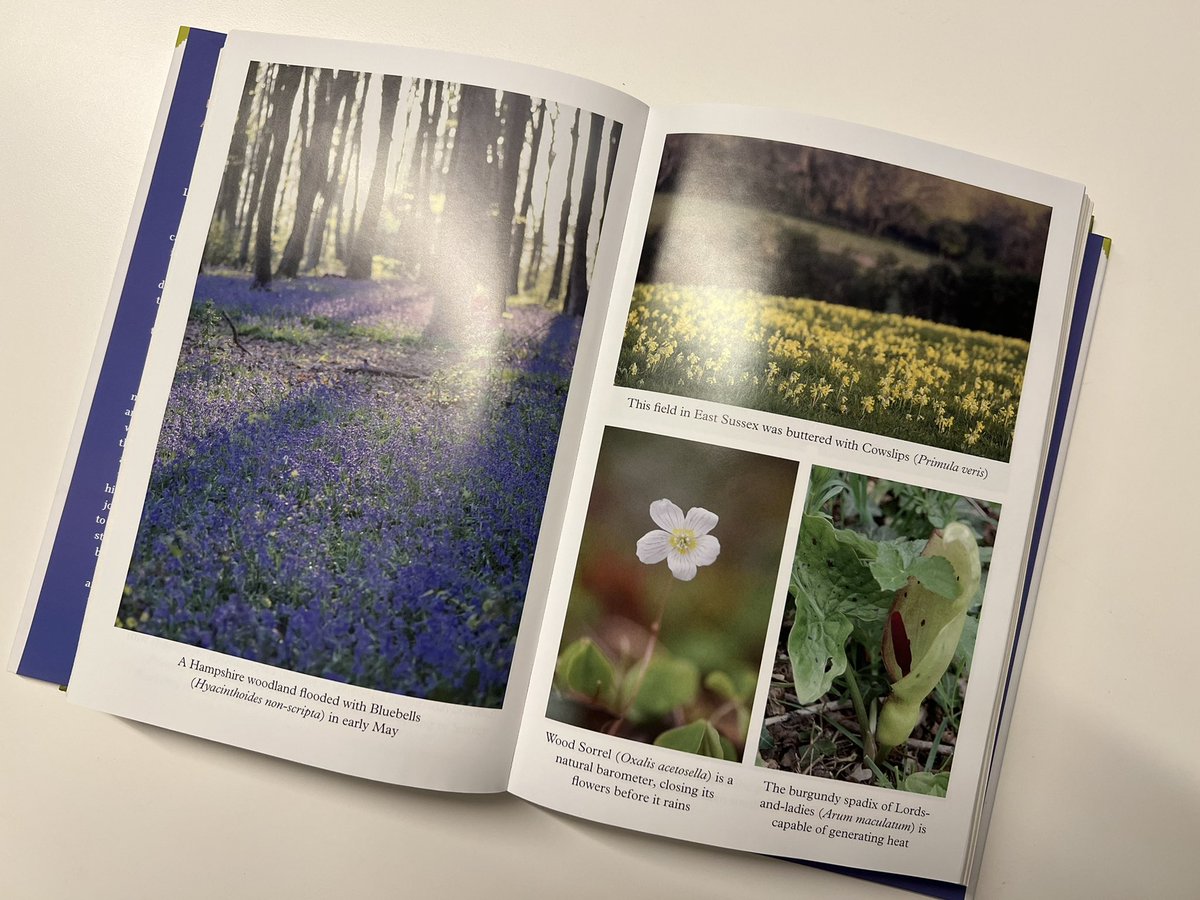 It’s #BooksForChristmas 2 and we all need more botany <a href="/Love_plants/">Plantlife</a> so here is <a href="/LeifBersweden/">Leif Bersweden</a> ‘s odyssey around the UK in search of the best science and stories about our brilliant and beautiful plants <a href="/Lucy_Lapwing/">Lucy Lapwing</a> <a href="/IsabelHardman/">Isabel Hardman</a> available here uk.bookshop.org/books/where-th…