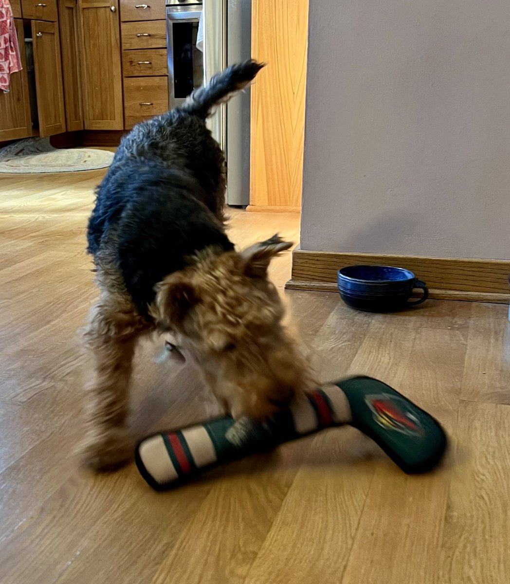 Let’s go Wild! #mnwild