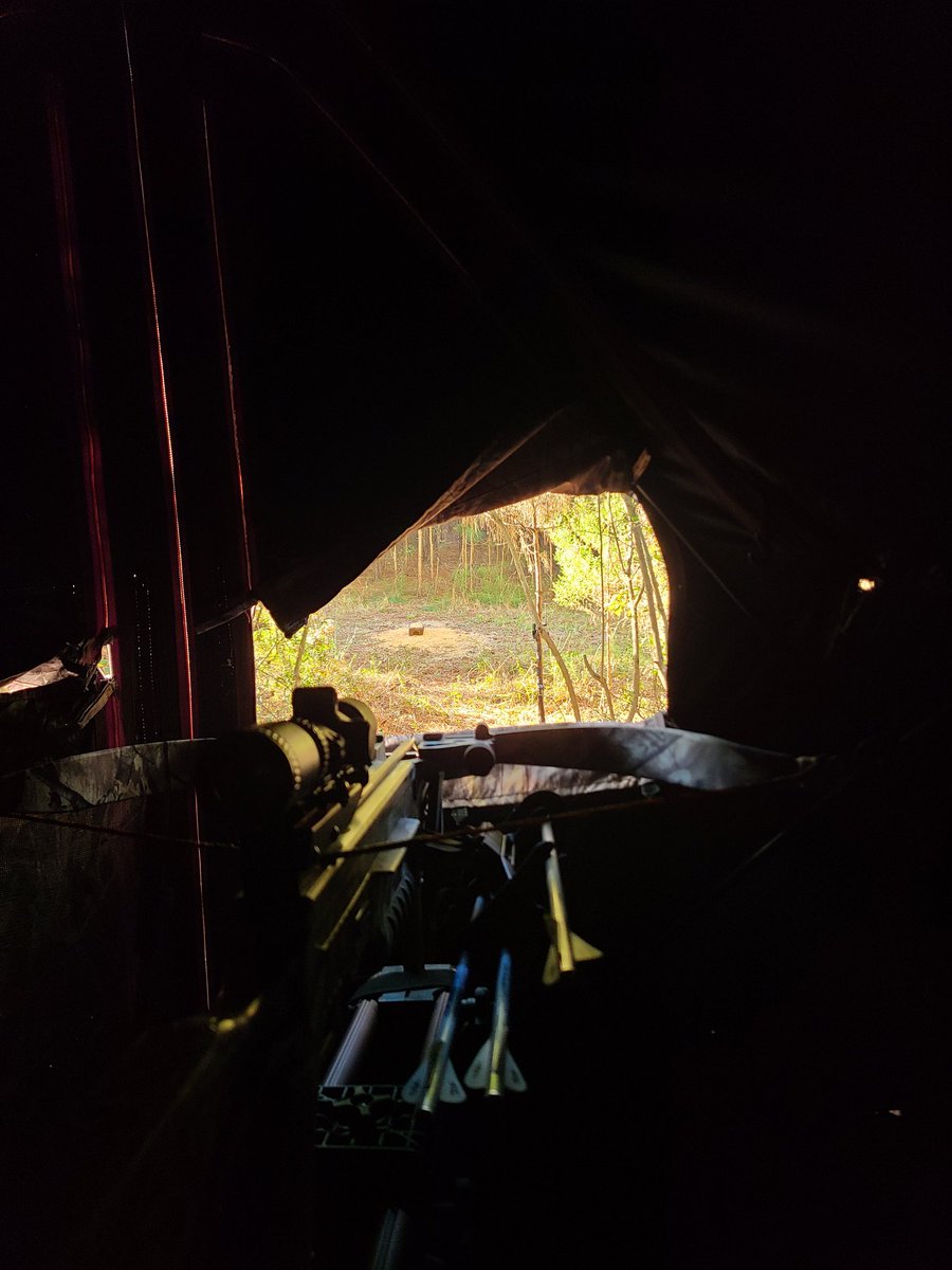 Hunts247's tweet image. C'mer deer, need a shot and meat in the freezer.