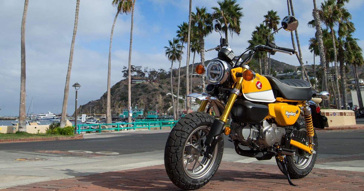 Honda Monkey - Everybody loves this little bike, and for good reason—it’s small and light and has plenty of zip. #honda #minimoto #hondamonkey #betteronahonda