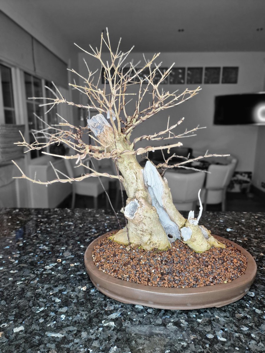 Privet Defoliated
reddit.com/z67grk