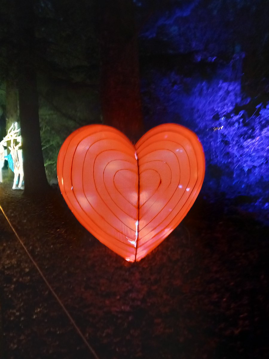 stuperrins's tweet photo. Just a few pics from #lightopia at @altontowers https://t.co/R7sh2ZAFaN