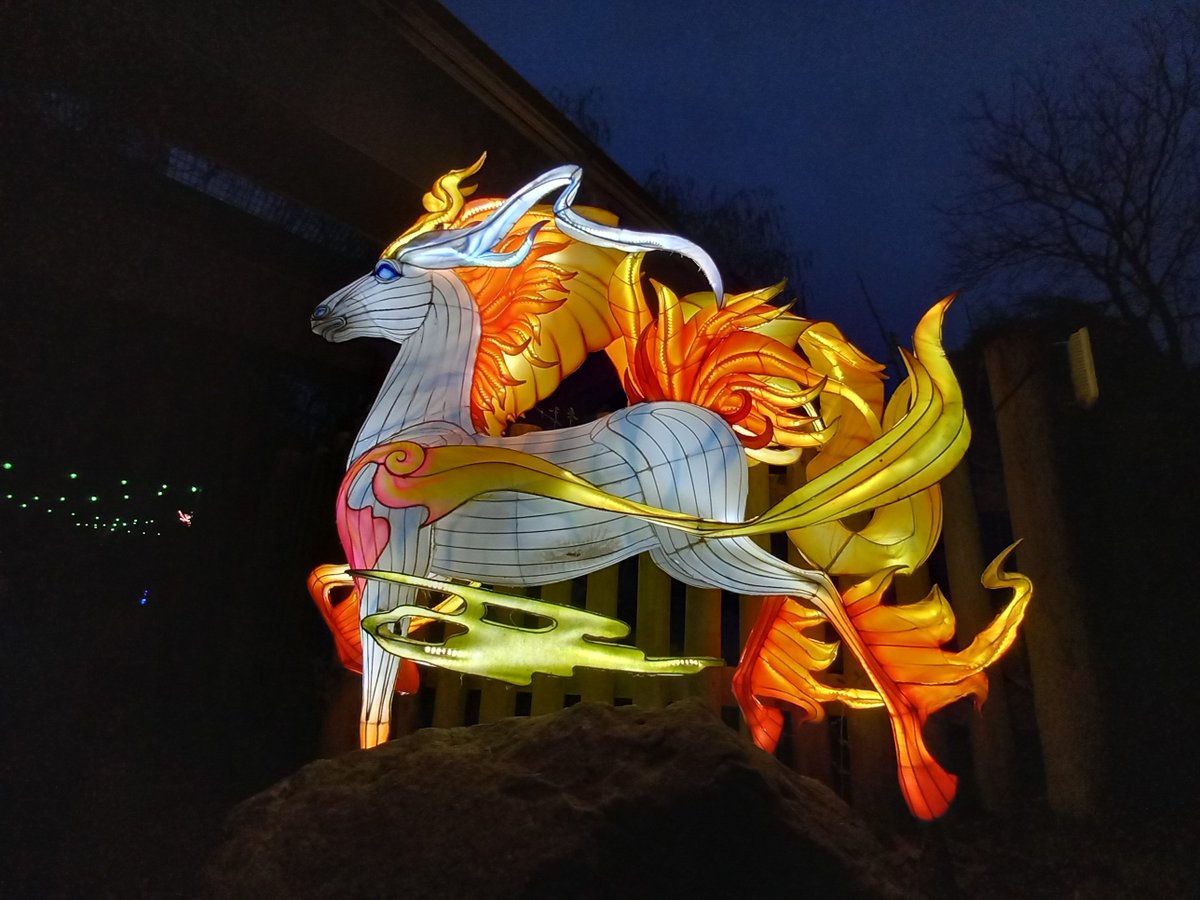 stuperrins's tweet photo. Just a few pics from #lightopia at @altontowers https://t.co/R7sh2ZAFaN