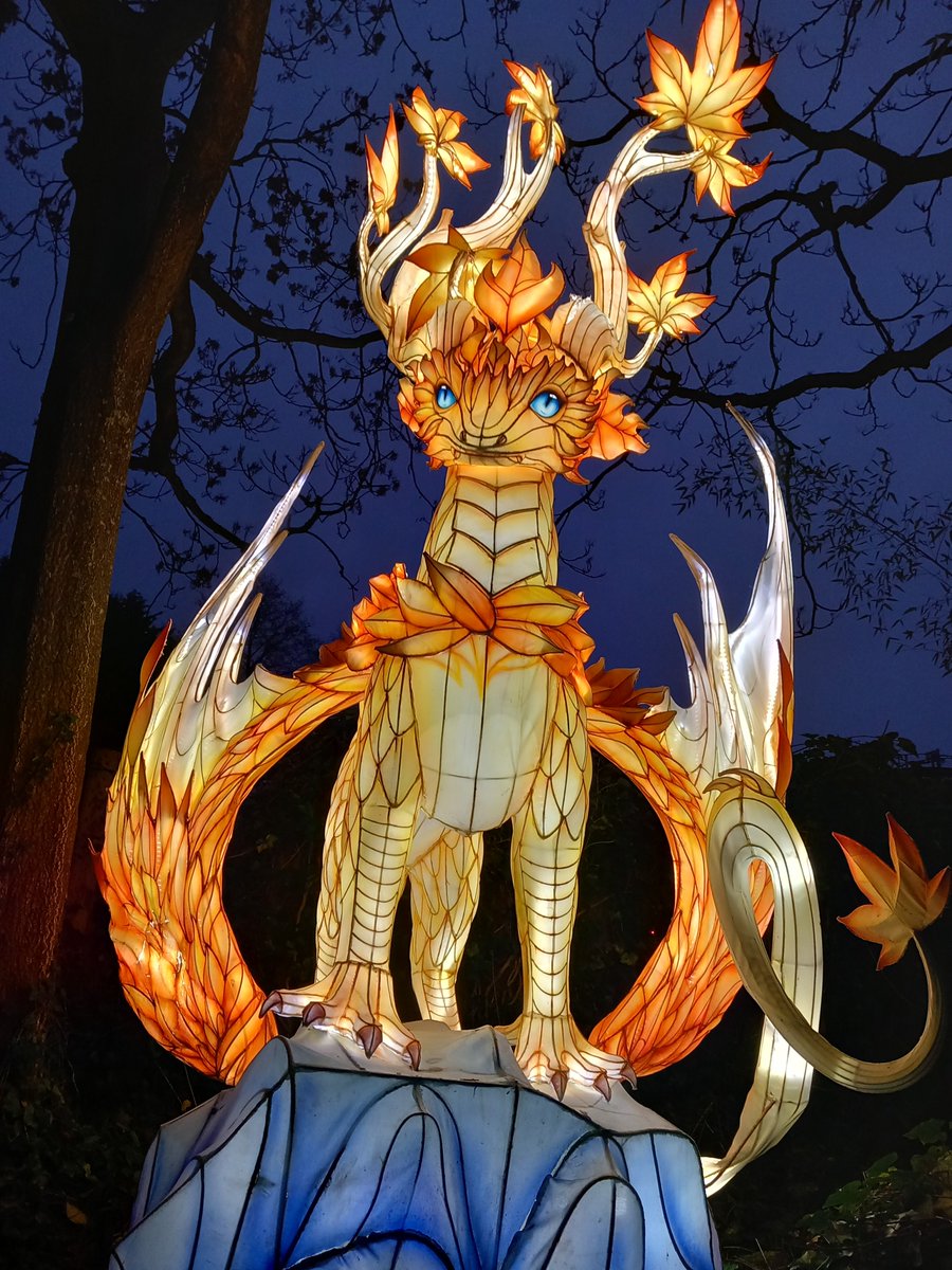 stuperrins's tweet photo. Just a few pics from #lightopia at @altontowers https://t.co/R7sh2ZAFaN
