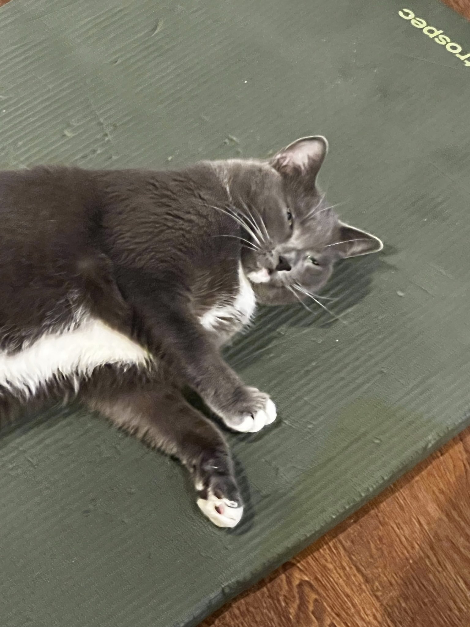 아기 김치 on Twitter: No : but here is Tsunade t.cocIaAEPpgaA 